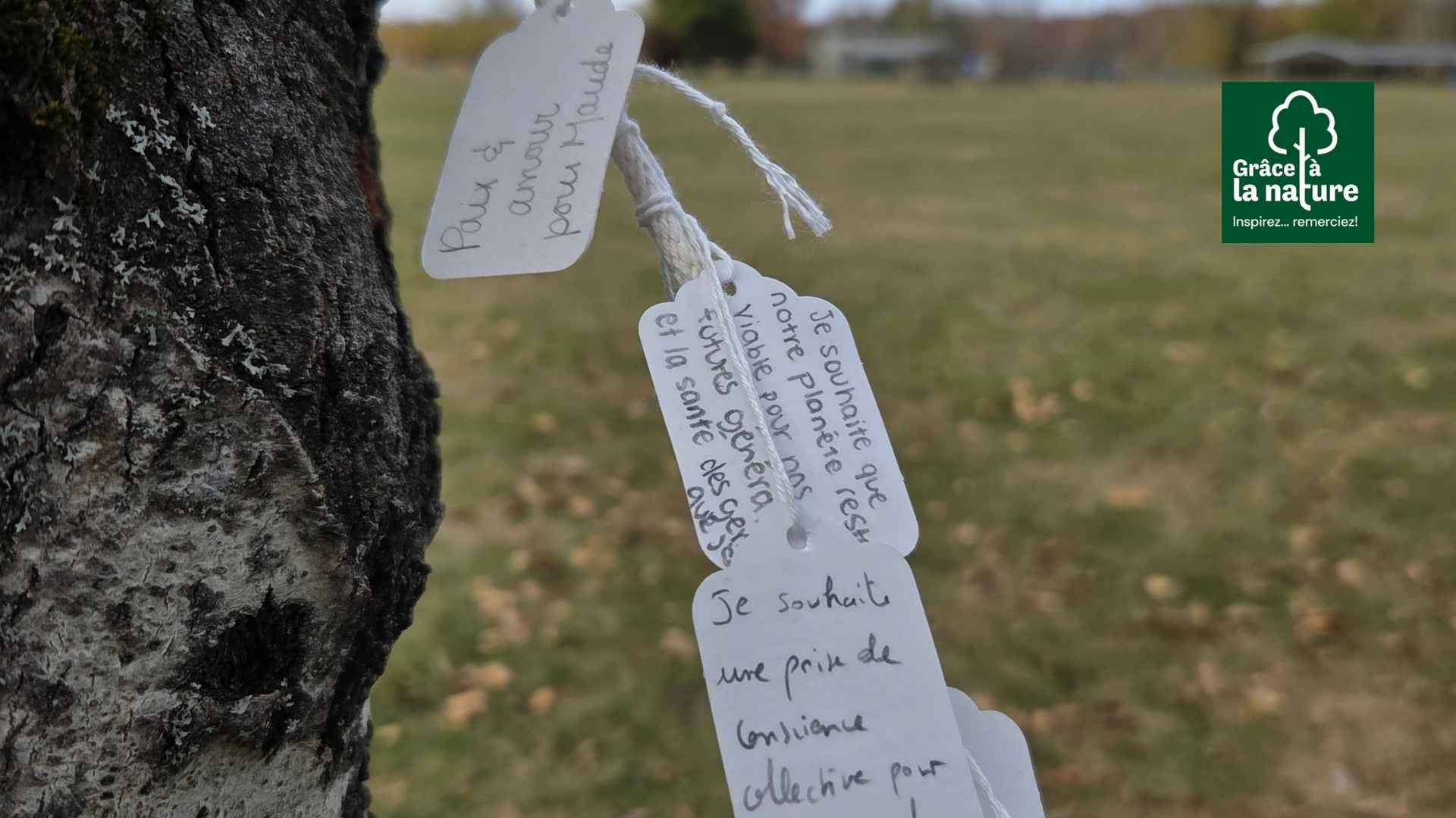 Grâce à la nature